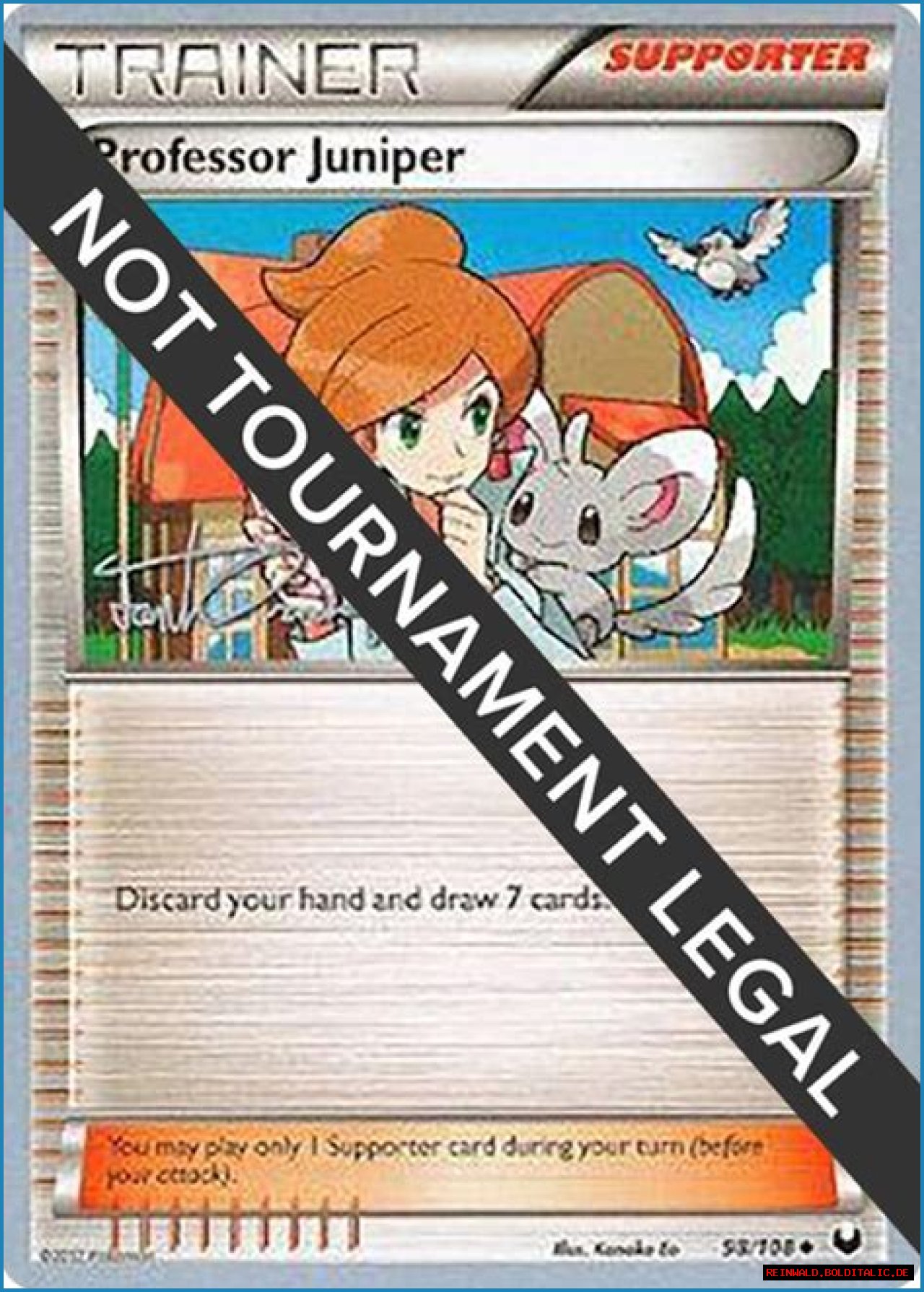 Discover The World-Renowned Janice Orndorff: An Expert's Guide