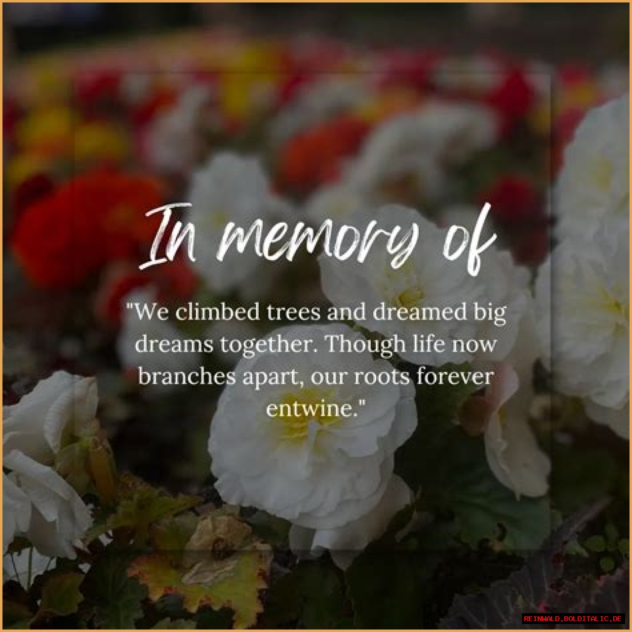 In Memoriam: Remembering Michael Selby's Legacy